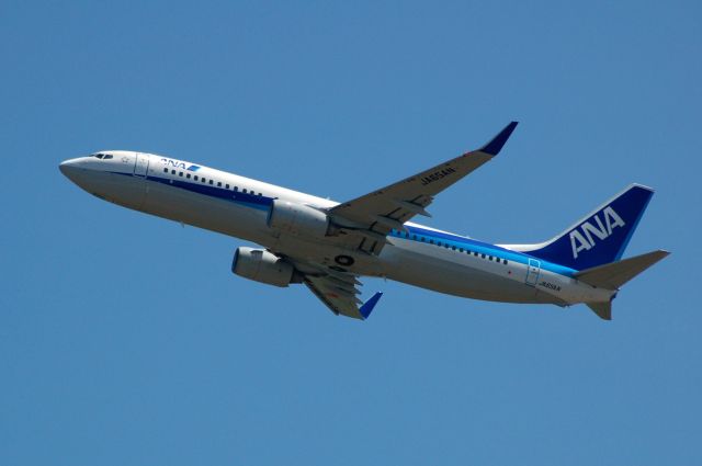 Boeing 737-800 (JA65AN) - JA65AN  Boeing 737-881(WL)  c/n:33903 L/N:3502 All Nippon Airways - NH/ANA : 2012/06/27