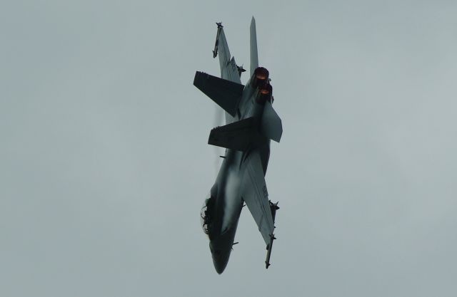 McDonnell Douglas FA-18 Hornet (VFA22)