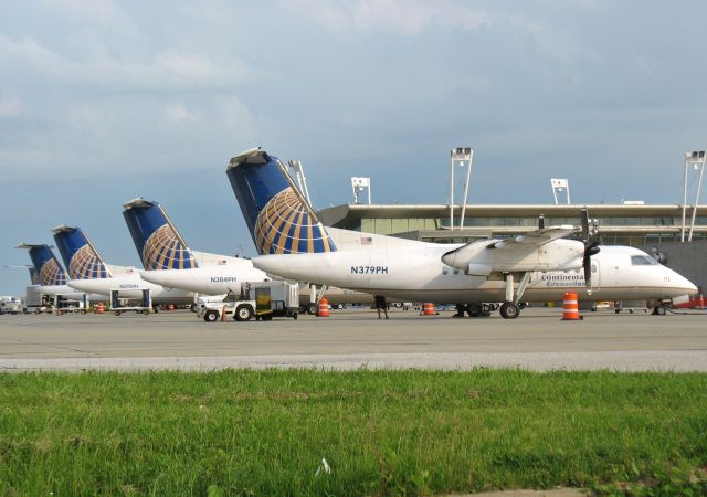 N379PH — - Continental Connection lineup of Dash 8s on the D concourse in CLE