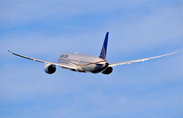 Boeing 787-9 Dreamliner (N38950)