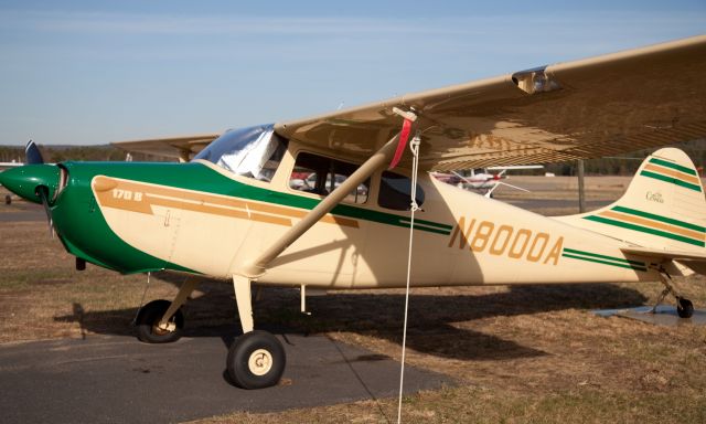 Cessna 170 (N8000A) - A beauty!