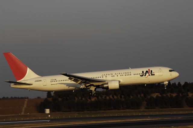 BOEING 767-300 (JA8266) - Landing at NRT Airport Runway 16L on 2011/12/29