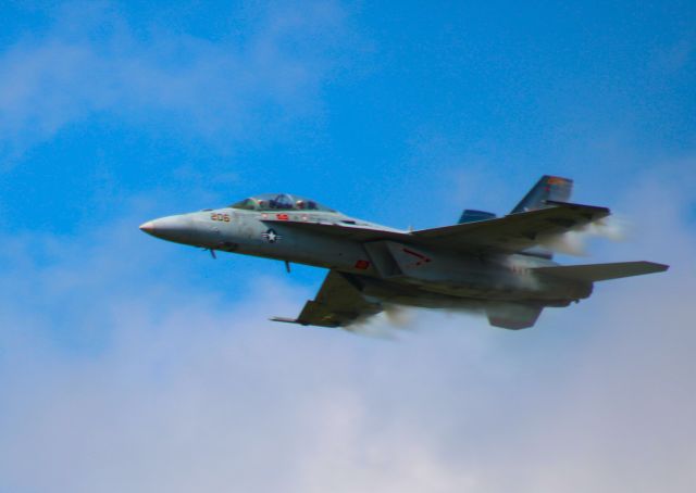 McDonnell Douglas FA-18 Hornet —