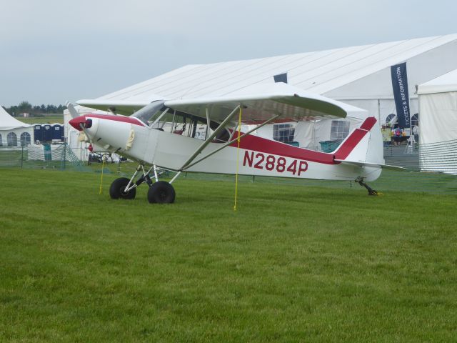 Piper L-21 Super Cub (N2884P)