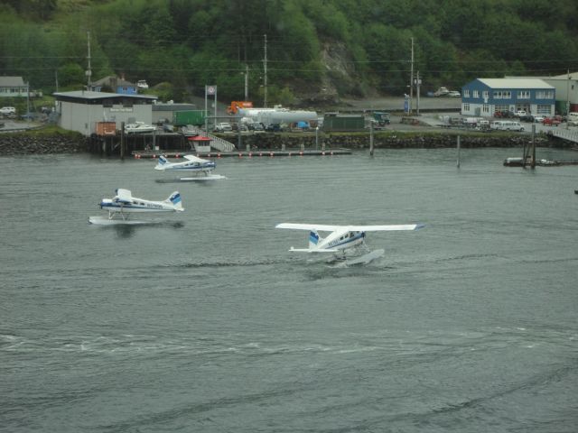 De Havilland Canada DHC-2 Mk1 Beaver (N5160G) - A colony of beavers dancing around waiting for dock space at Ketchikan, AK.