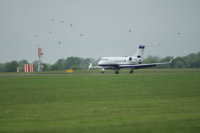 Gulfstream Aerospace Gulfstream 3 (N560SH)