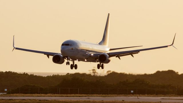 Boeing 737-800 (HP-1537CMP) - Golden hour arrival from Bogota, Colombia.