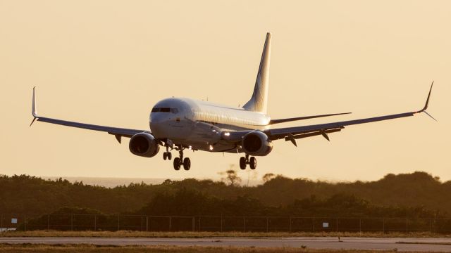 Boeing 737-800 (HP-1537CMP) - Golden hour arrival from Bogota, Colombia.