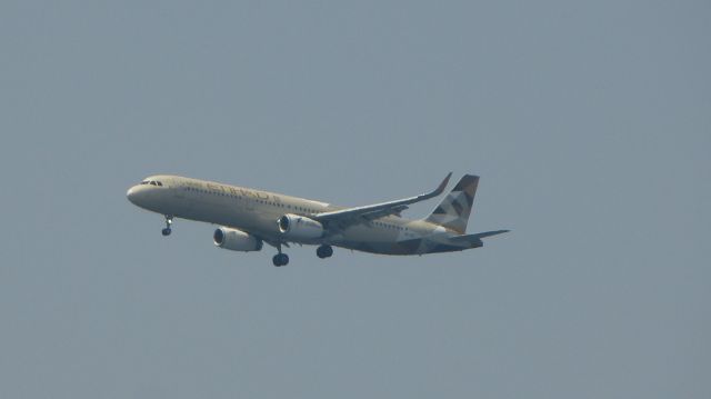 Airbus A321 (A6-AEI) - Arriving from Abu Dhabi