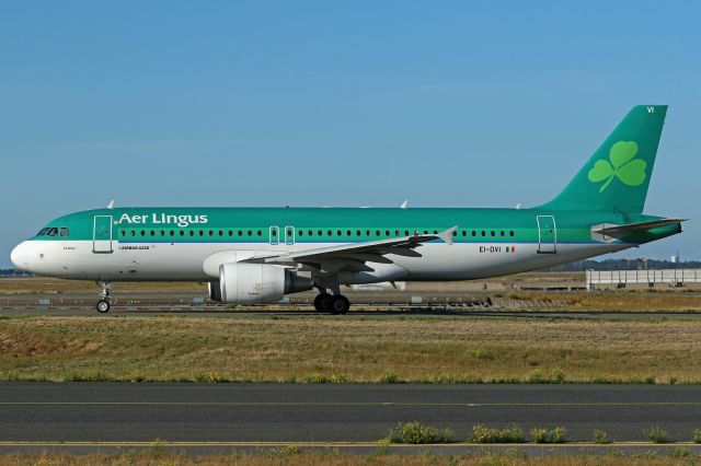 Airbus A320 (EI-DVI)