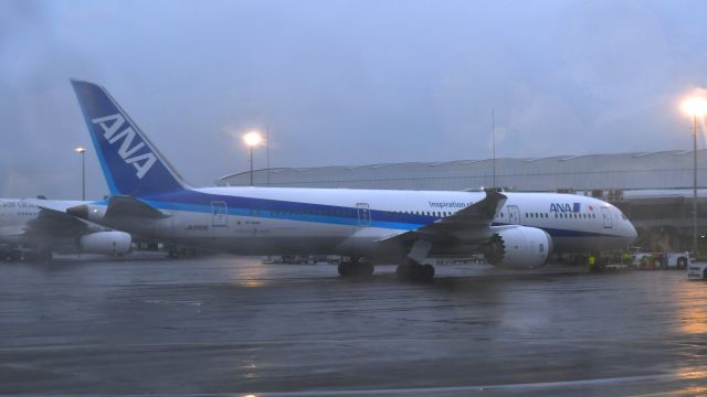 Boeing 787-9 Dreamliner (JA893A) - ANA Boeing 787-9 Dreamliner JA893A in Jakarta
