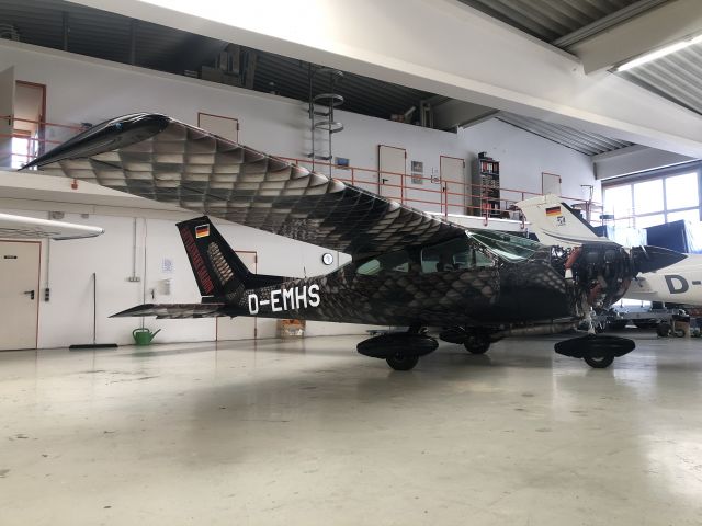 Cessna Cardinal (D-EMHS) - Taken at Landshut on 15.04.2021 in the famous Rattlesnake Saloon colours