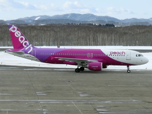 Airbus A320 (JA823P) - Taxiing after landing. 