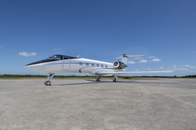 GILES G-300 (N53WG)