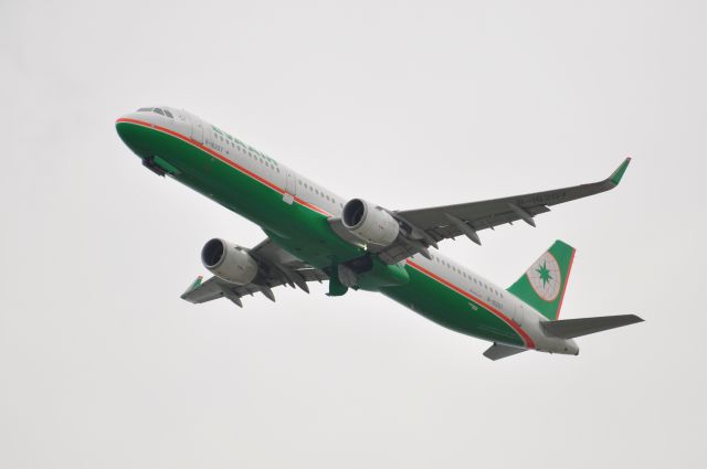 Airbus A321 (B-16207) - L2ドアの下に付いているものは何でしょうかねぇ。