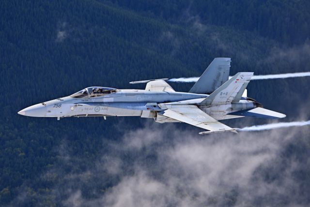 McDonnell Douglas FA-18 Hornet (18-8756)