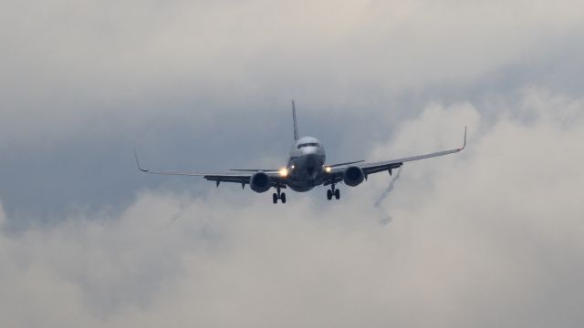 Boeing 737-800 (JA53AN) - Boeing 737-881br /All Nipponbr /August.02.2015 Hakodate Airport [HKD/RJCH] JAPAN