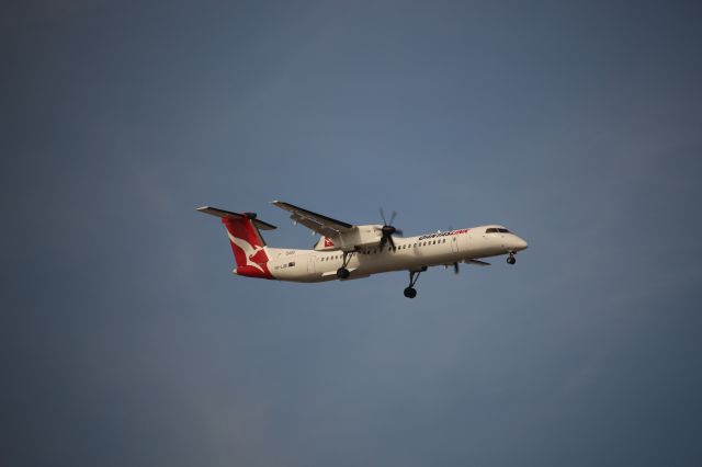 de Havilland Dash 8-400 (VH-LQB) - 18/01/2015 at Sydney Airport