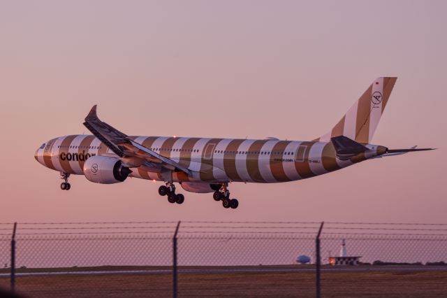 Airbus A330-900 (D-ANRJ)