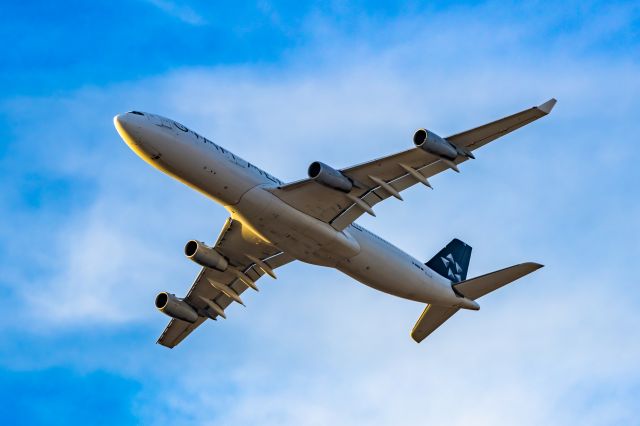 Airbus A340-300 (D-AIGW) - Lufthansa A340-300 in Star Alliance special livery taking off from DFW on 12/28/22. Taken with a Canon R7 and Tamron 70-200 G2 lens.