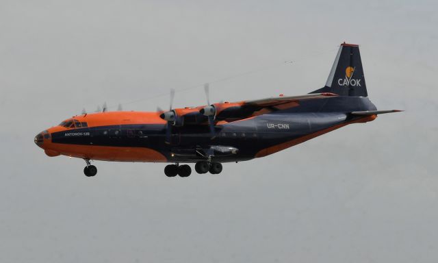 Antonov An-12 (UR-CNN) - On final to 33L at BWI Airport.