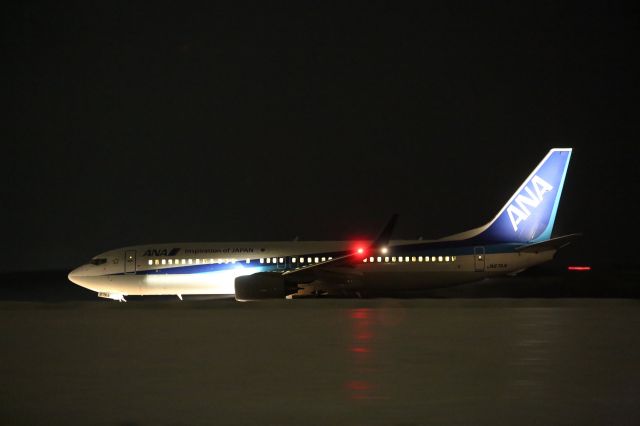 Boeing 737-800 (JA67AN) - 27 January 2016:HKD-HND.