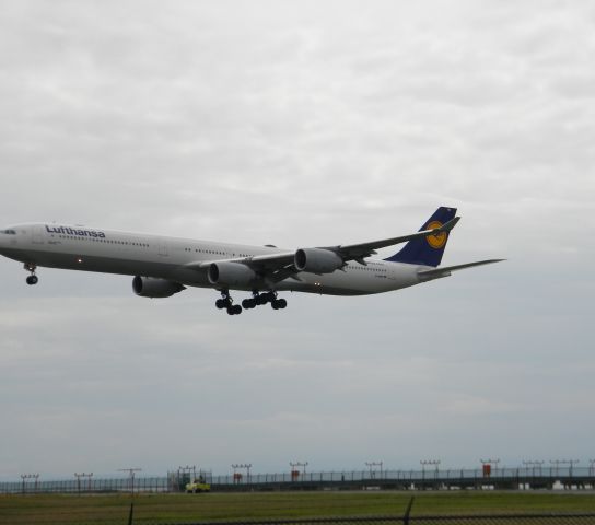 Airbus A340-600 (D-AIHH) - D-AIHH on short final runway 08L, inbound from Frankfurt (EDDF) as DLH492.