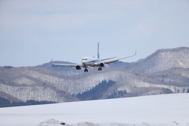 Boeing 737-800 (JA88AN) - February 26.2023:ITM-HKD.