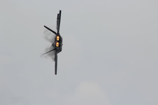 Lockheed F-22 Raptor — - USAF F-22 Demo East at Oshkosh on a high overcast day 2019. 