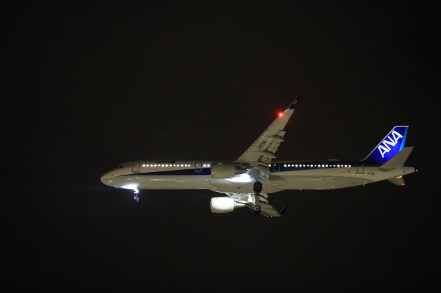 Airbus A321 (JA113A) - October 25th 2019:HND-HKD.