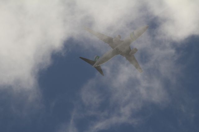 Boeing 737-700 (PH-HZD) - Boeing 737-8K2, Transavia, vanuit Sevilla (Spanje). Het vliegtuig vliegt door de wolken boven Nieuwkoop om te gaan landen op de Aalsmeerbaan op Schiphol.