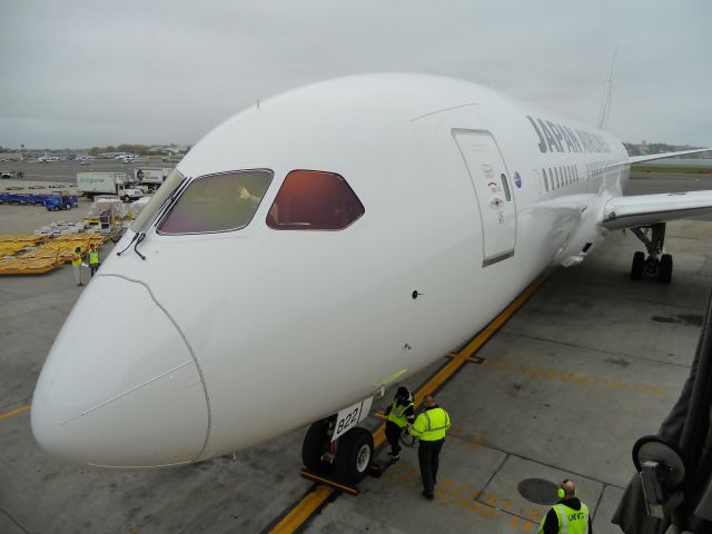 Boeing 787-8 (JA822J) - 1st flight ever of JAL and their B787 @ KBOS Logan ! Cheese !