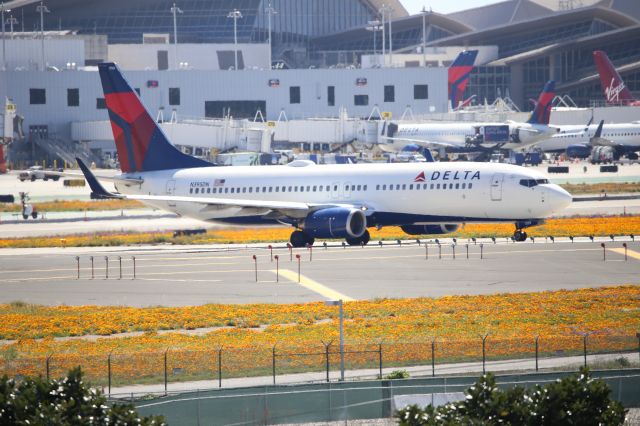 Boeing 737-800 (N395DN)