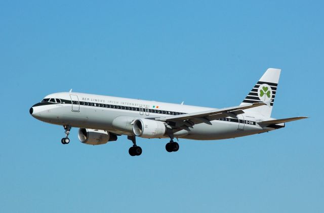 Airbus A320 (EI-DVM)