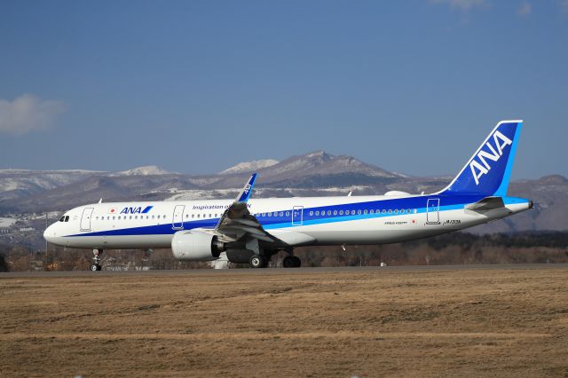 Airbus A321 (JA133A) - March 2nd 2019:HKD-HND.