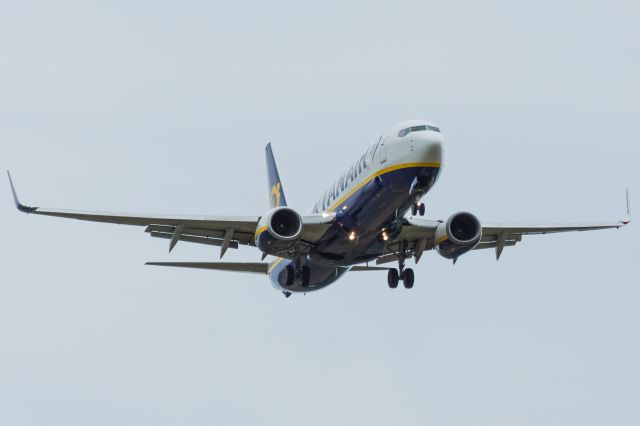 Boeing 737-800 (EI-DHZ) - Spotting RZE