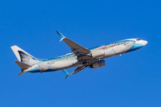 Boeing 737-800 (N559AS) - Alaska Airlines 737-800 in Salmon Thirty Salmon II special livery taking off from PHX on 11/26/22. Taken with a Canon 850D and Tamron 70-200 G2 lens.