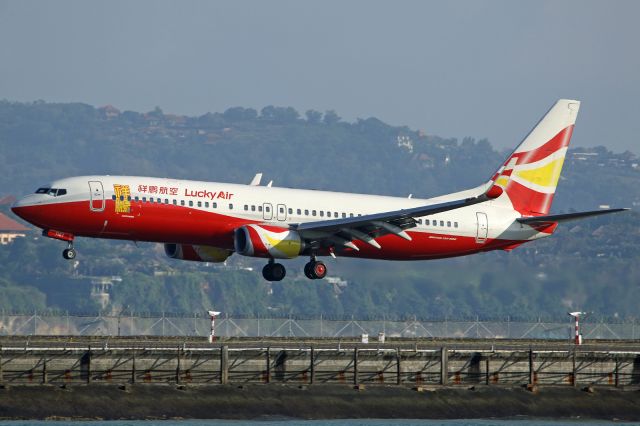 Boeing 737-800 (B-7167)