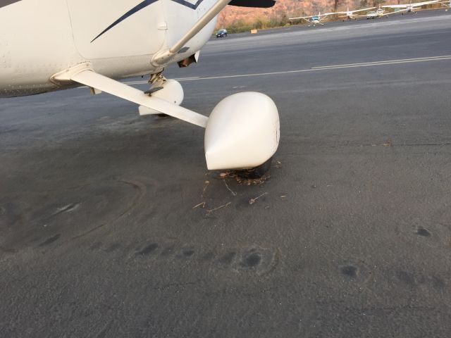 Cessna Skylane (N10965) - Note the webs build up below the wheel pants