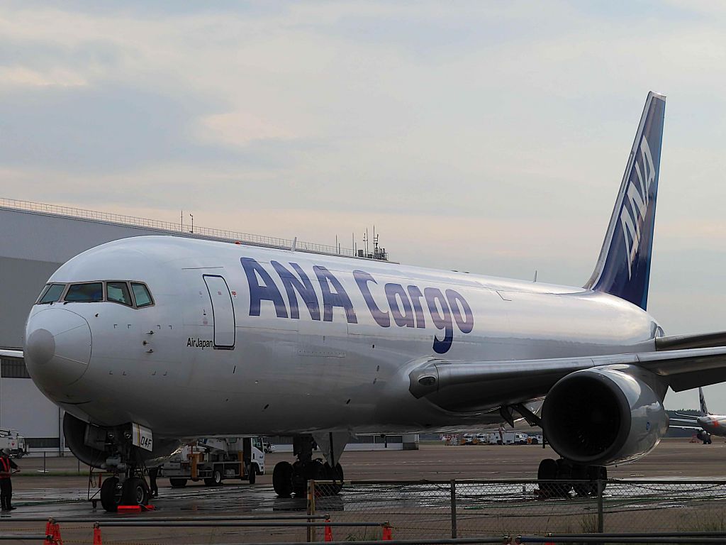 BOEING 767-300 (JA604F) - I took this picture on Nov 12, 2018.