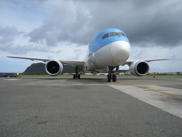 Boeing 787-8 (G-TUIA)