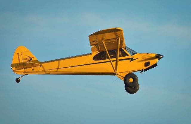 CUB Crafters CC-11 Carbon Cub (N160TJ) - Cubcrafters Model CC11-160