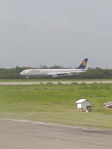 Airbus A340-300 (D-AIGZ) - View from American 737 as D-AIGZ arrived at Punta Cana - 6/16/21