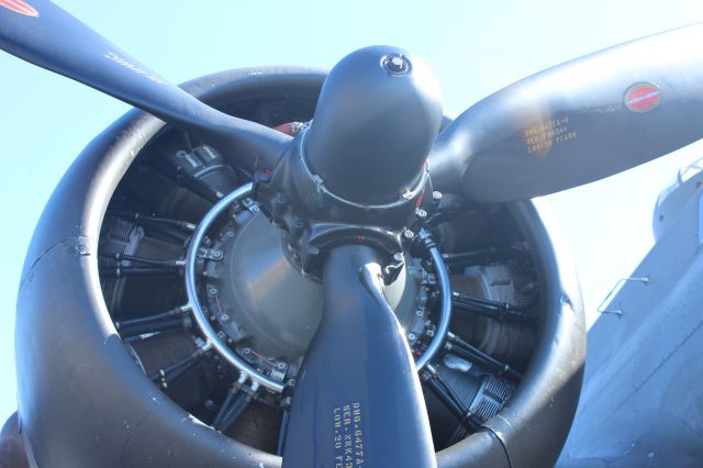 Boeing B-17 Flying Fortress (N3703G)