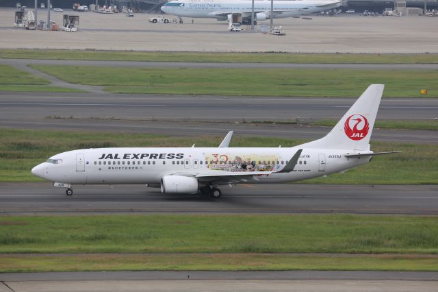 Boeing 737-800 (JA329J)