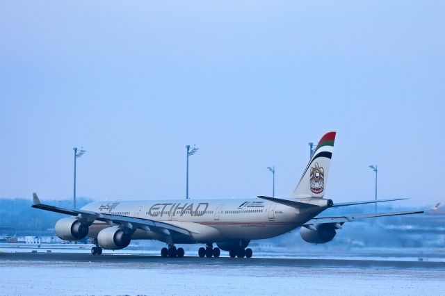 Airbus A340-600 (A6-EHL)