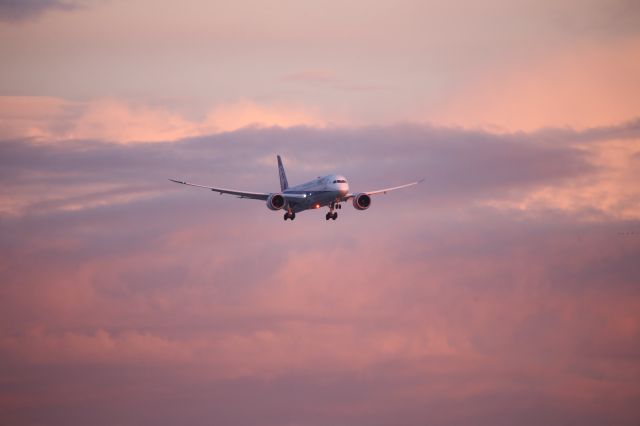 Boeing 787-9 Dreamliner (JA837A)