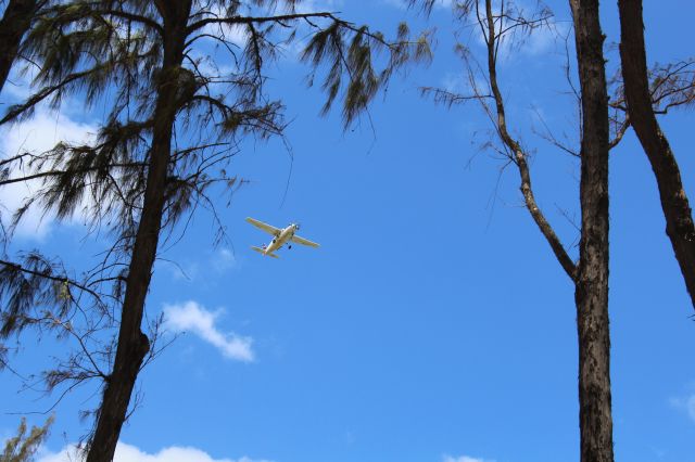 Cessna Caravan (N900SA)