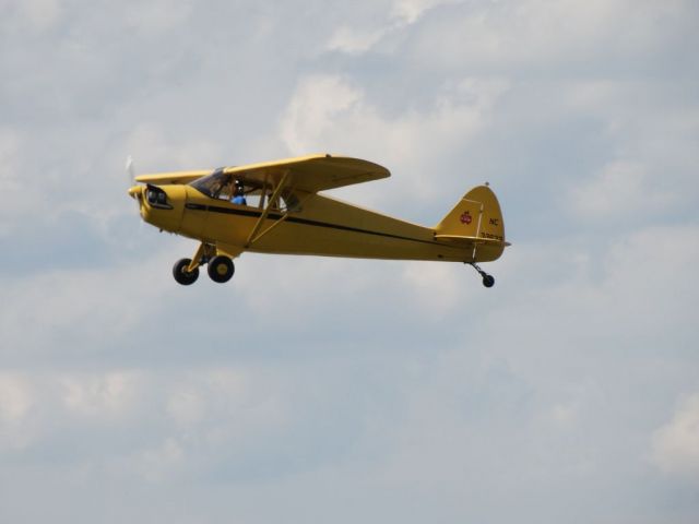 Piper L-14 Cub Cruiser (N38633)