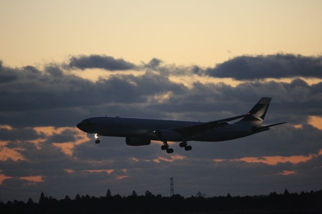 Airbus A330-300 (B-LAB)